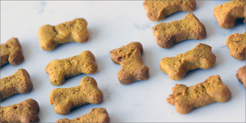dogs treats 02 Can Dogs Get High?