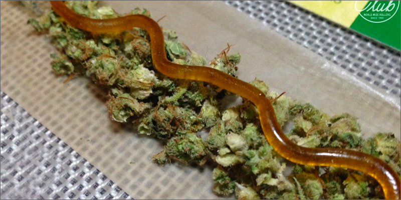 tolerance 01 5 Hacks When Your Weed Tolerance Is Too High