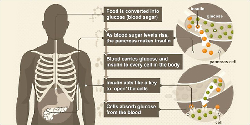 diabetes insulin Marijuana and Diabetes An In depth Look