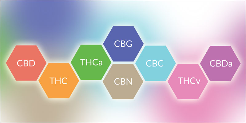 cancer canna How Does Cannabis Help Treat Nausea?