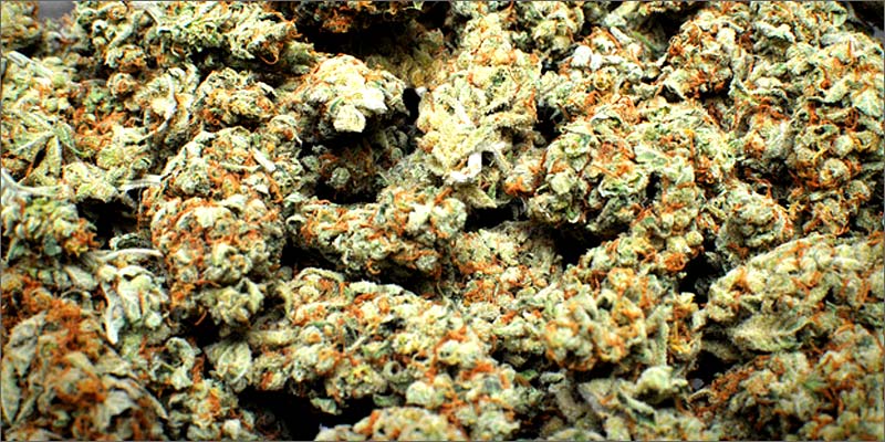 BUDS What a $20 Bag of Weed Looks Like in Jamaica