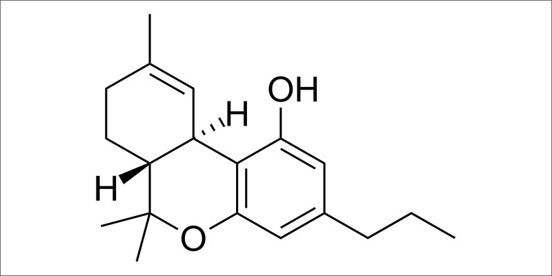 Sativas THCv AW How Sativas Boost Your Energy
