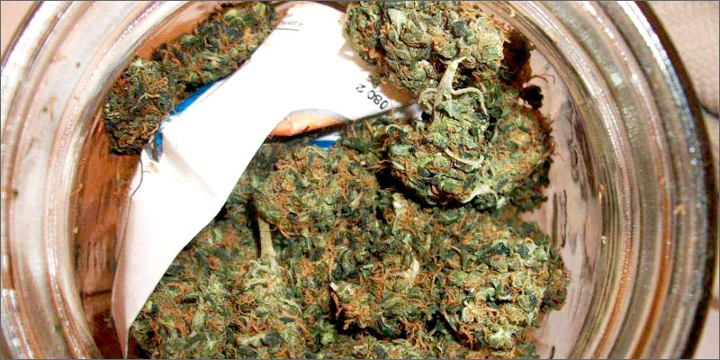 drying sheet How To Grow Marijuana Step 5: Curing & Max Your Bud Hacks!