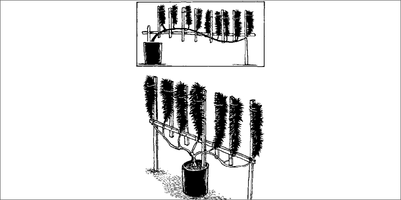 flatweed 1 How To Grow Marijuana Step 5: Curing & Max Your Bud Hacks!