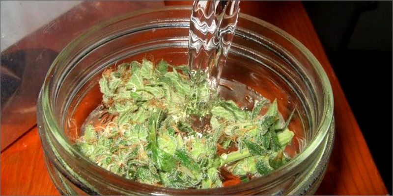 water How To Grow Marijuana Step 5: Curing & Max Your Bud Hacks!