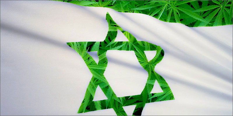 Why Are Cannabinoid Receptors Important?
