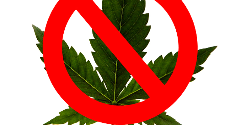 banned Facebook Re Opens Closed Cannabis Pages