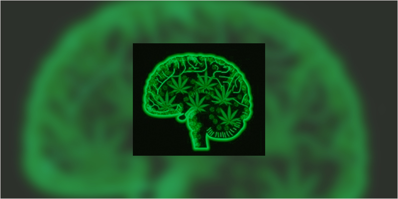 cannabis psychosis ci 2 If You Have This Gene You May Need To Be Wary Of Cannabis