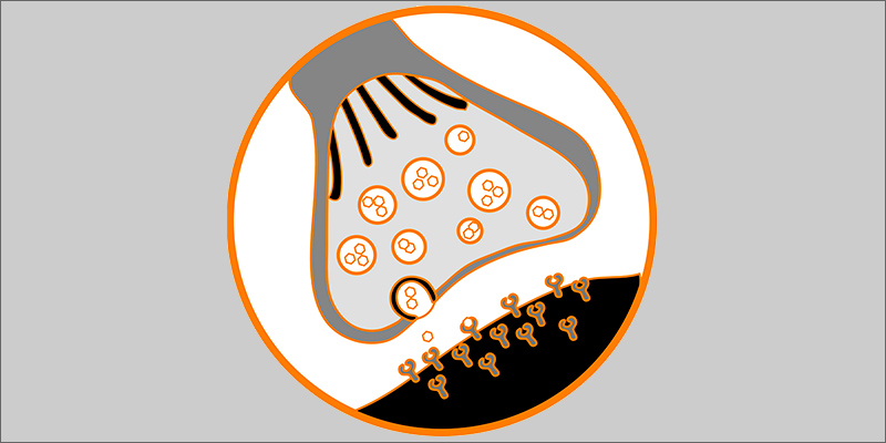 cells Fibromyalgia: Is Marijuana The Best Treatment?
