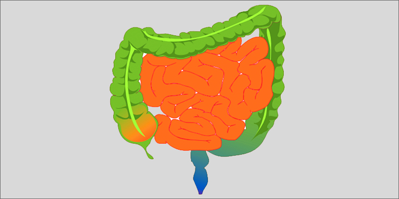intestines Fibromyalgia: Is Marijuana The Best Treatment?