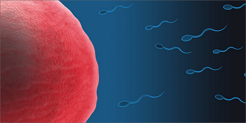 egg Marijuana And Pregnancy #2: Does Marijuana Have An Impact On Fertility?