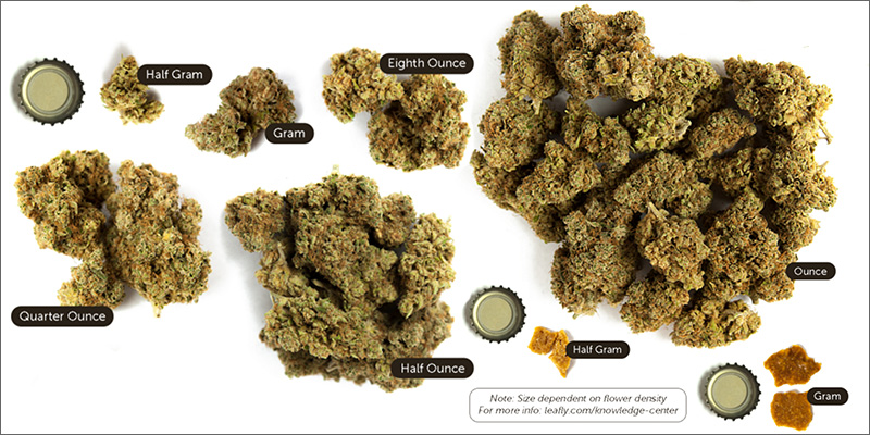 ounces fluid ml much how in is 8 650 to grams ounces