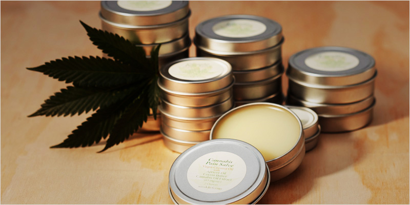 no bones ci 10 No Bones About It: How Cannabis May Combat Bone Diseases