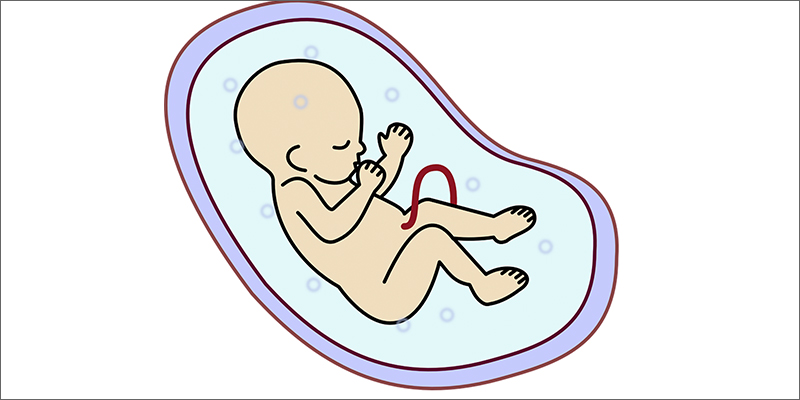 utero Marijuana And Pregnancy #2: Does Marijuana Have An Impact On Fertility?