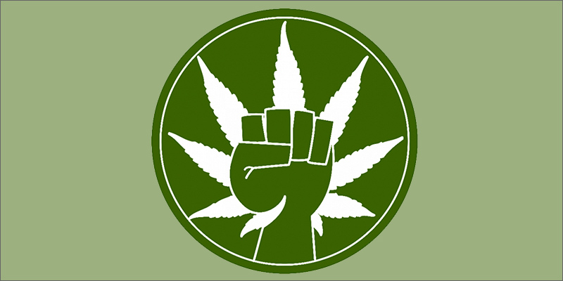 weed power Martyrs For Freedom: The Courageous Patients Striving For Survival
