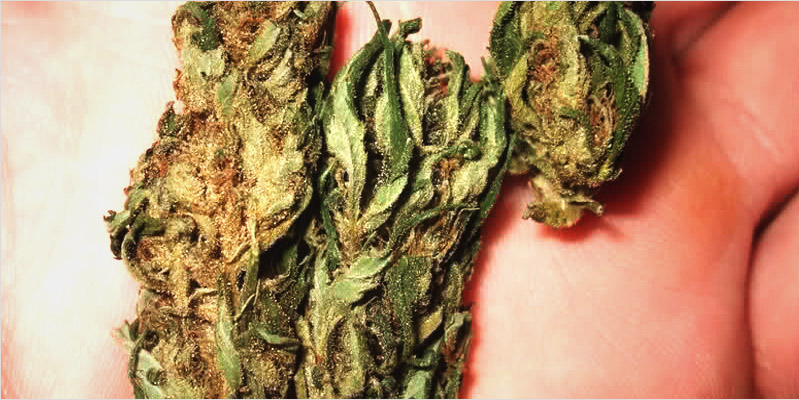 Eating Weed 1 The Big Benefits Of Eating Marijuana Rather Than Smoking It