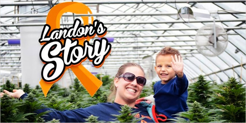 Oil Cures 3 Year Old 3 Watch: Cannabis Oil Cures Boy Given 48 Hours To Live