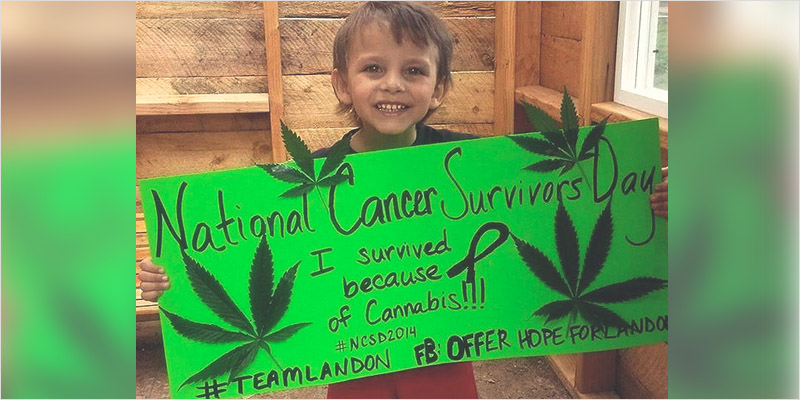 Oil Cures 3 Year Old 4 Watch: Cannabis Oil Cures Boy Given 48 Hours To Live