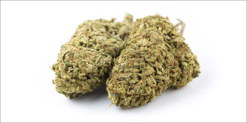 10 cannabis fights depression nugs All In The Mind #4: How Cannabis Treats Depression