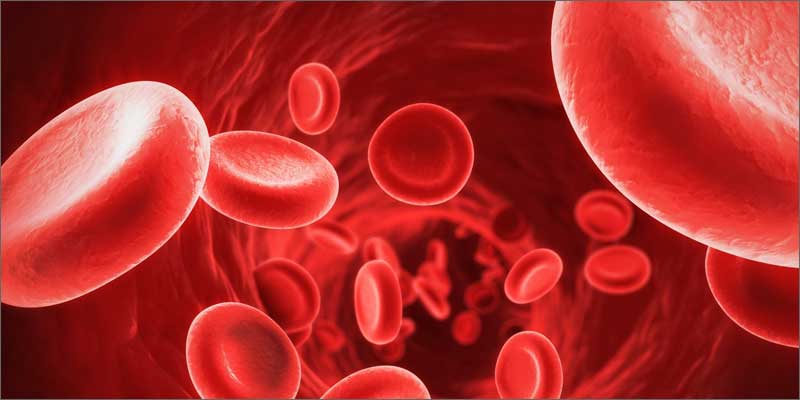 2 how cannabis treats brain cancer cells New Research Confirms Cannabis Kills Brain Cancer, NOT Your Brain