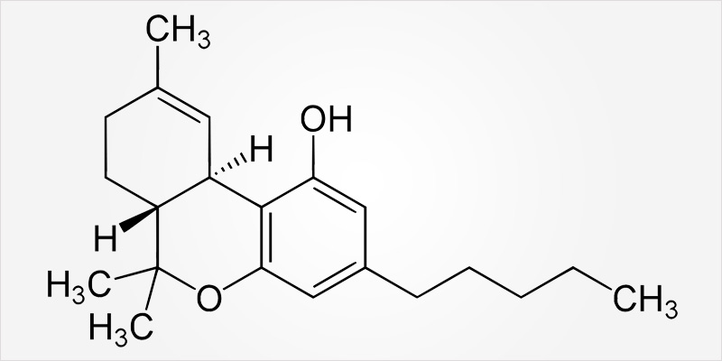 All In The Mind 2 4 All In The Mind #2: Does Cannabis Help OCD?