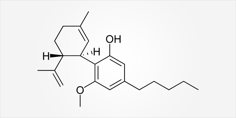 All In The Mind 2 6 All In The Mind #2: Does Cannabis Help OCD?