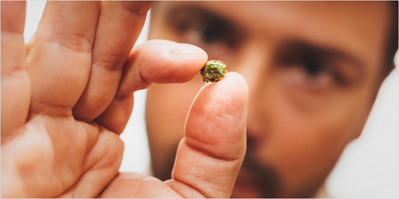 All In The Mind 3 11 All In The Mind #3: Can Weed Defeat Your Anxiety?