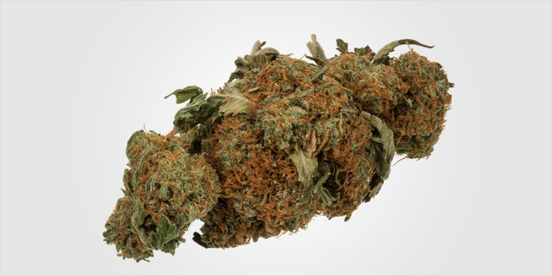 All In The Mind 3 8 All In The Mind #3: Can Weed Defeat Your Anxiety?