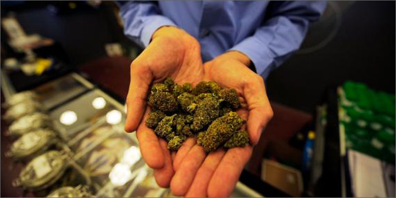 ma court challenge cannabis ballot hands buds 4 Things You Need To Know If Youre Charged With Cannabis Possession