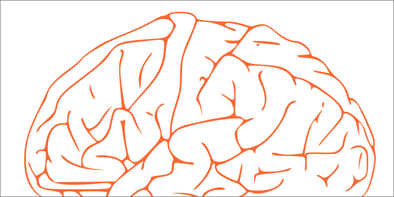 1 ms cannabis brain Multiple Sclerosis: Heres Why Cannabis Is So Effective Against MS