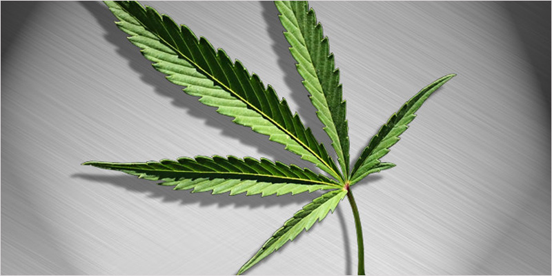 THC article update 2 THC: Everything You Need To Know About Delta9 Tetrahydrocannabinol