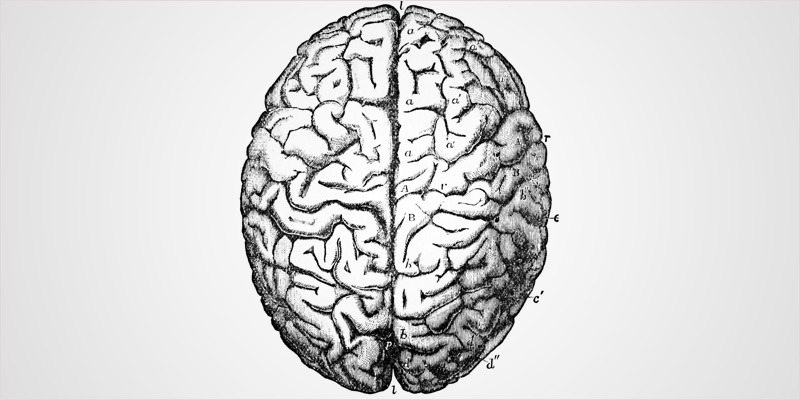THC article update 3 THC: Everything You Need To Know About Delta9 Tetrahydrocannabinol