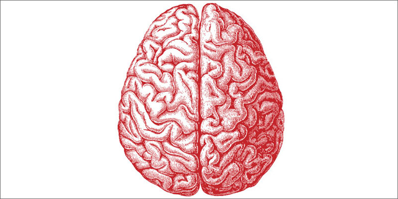 cannabis and parkinsons brain Does Cannabis Help Parkinsons Disease?