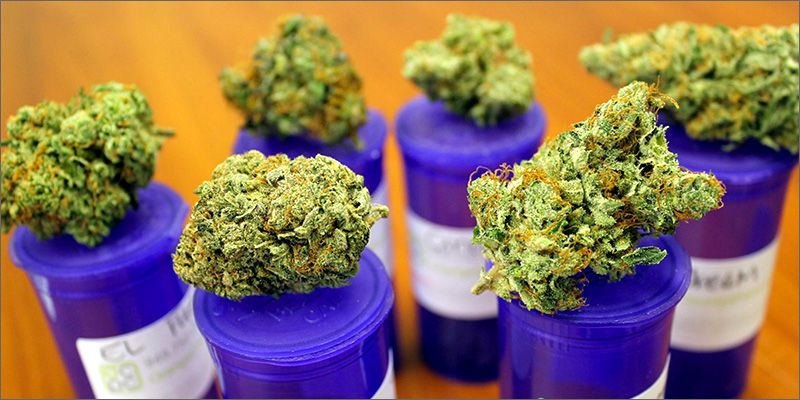 10 Best Medical Cannabis Strains You Should Be Using