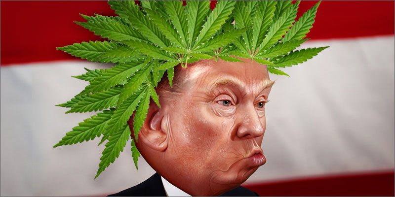 will-trump-destroy-the-cannabis-industry-hero-800x400.jpg