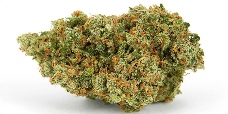 10 best strains cannabis pain relief jack herer Ultimate Guide To Strains You Need To Use For Pain Relief