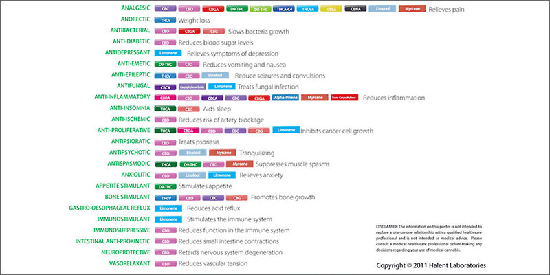 2 best strains cannabis pain relief terpenes Ultimate Guide To Strains You Need To Use For Pain Relief