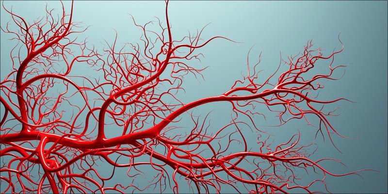 4 Ways Cannabis Kills 3 These Are The 4 Ways Cannabis Kills Cancer