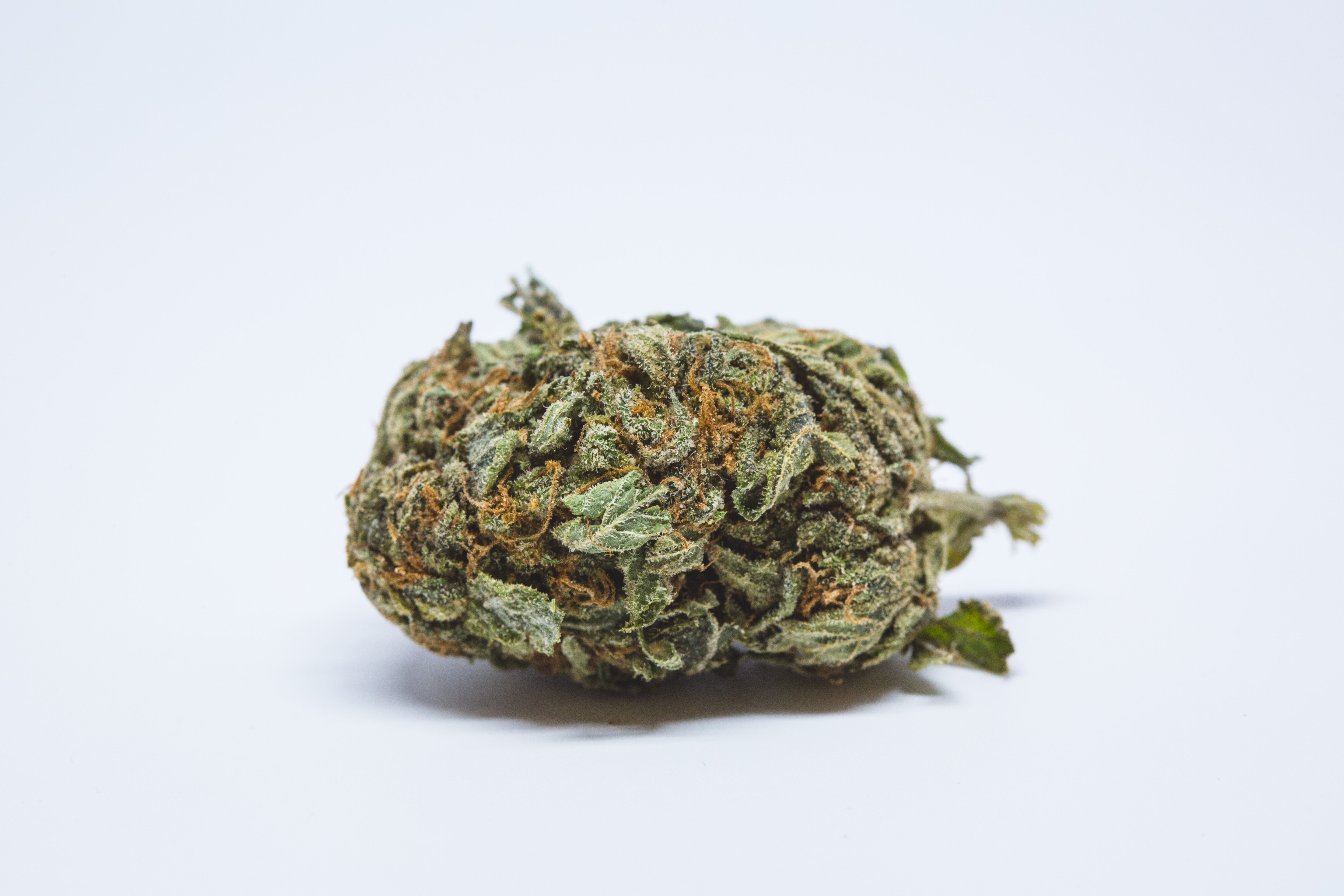 Berry White Strain Allbud