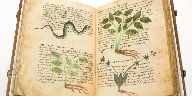 History Of Marijuana And Sex 2 Cannabis And Sex: How Much Do You Really Know?