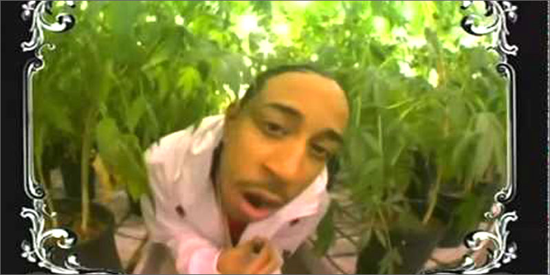 High Weed Rapper 17 Of The Best Rap Songs About Weed – BDDA