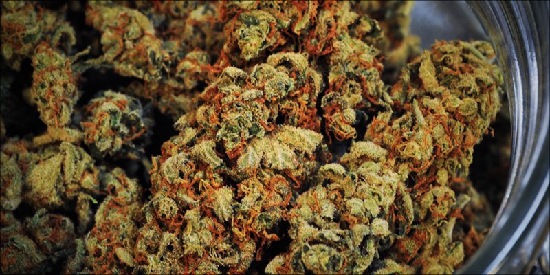 Autoimmune Disease 5 Autoimmune Diseases: How Does Cannabis Help?