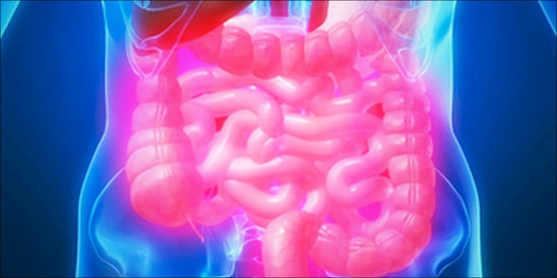 Autoimmune Disease 6 Autoimmune Diseases: How Does Cannabis Help?