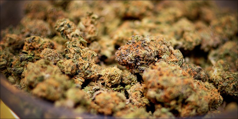Funded Israeli Research 4 US Has Funded Israeli Cannabis Research For 50 Years, But Theres No Medicinal Value?