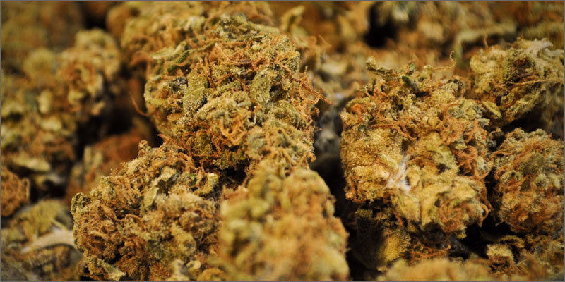 1 cannabis ingestion methods effects 5 Different Cannabis Ingestion Methods & How They Affect You