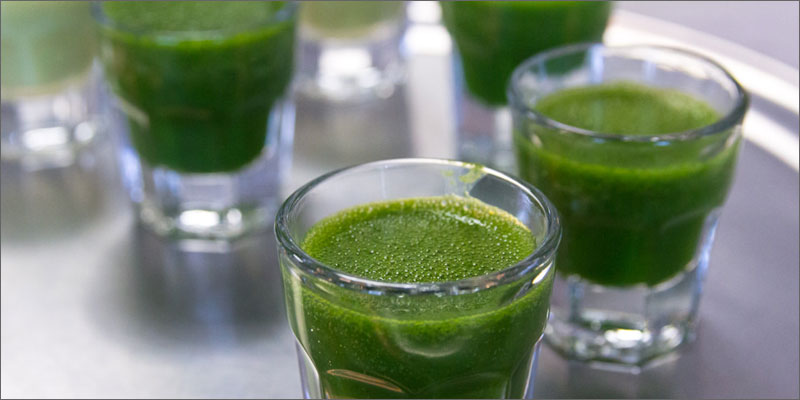 6 cannabis ingestion methods effects 5 Different Cannabis Ingestion Methods & How They Affect You