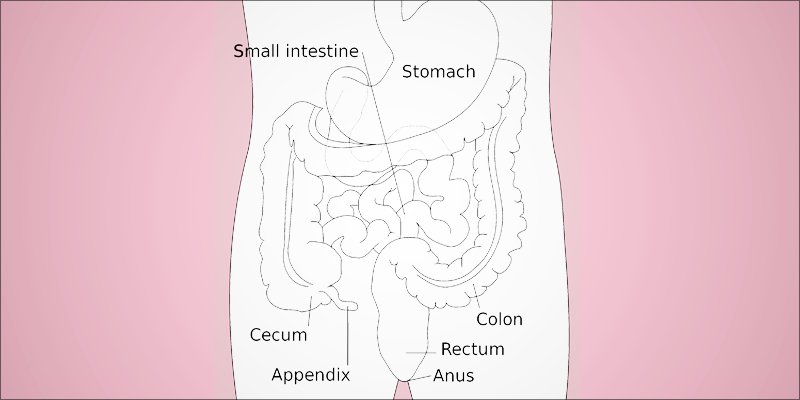 Crohns Disease 2 Will Cannabis Help Send Crohns Disease Into Remission?