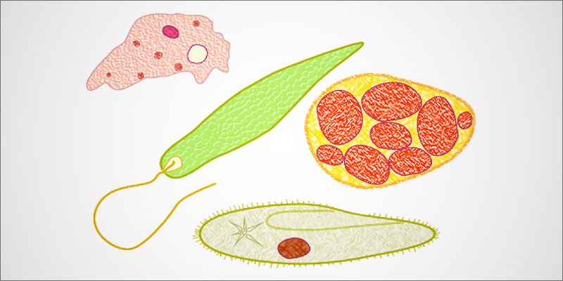 Cannabis For IBS 2 Is Cannabis The Perfect Treatment For Irritable Bowel Syndrome?