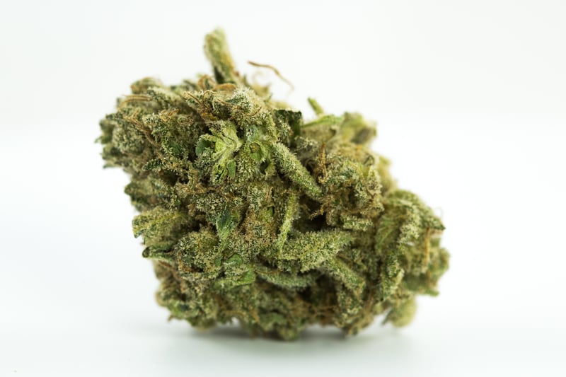 White Russian 1 The 10 best weed gifts for your girlfriend