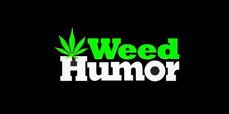 8 Best Weed Snapchat Accounts You Need To Follow - 800 x 400 jpeg 18kB